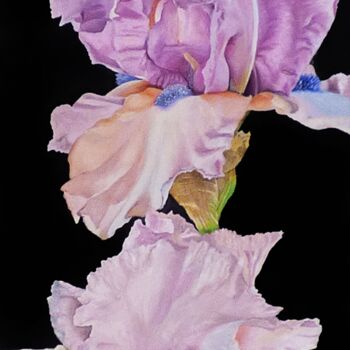 Painting titled "Irises II" by Melanie Renaux, Original Artwork, Oil