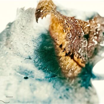 "Feuille d’hiver" başlıklı Fotoğraf Mélanie Stéphanie Massé tarafından, Orijinal sanat, Dijital Fotoğrafçılık