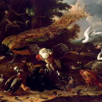 Pittura intitolato "The Crow Exposed" da Melchior D'Hondecoeter, Opera d'arte originale, Olio