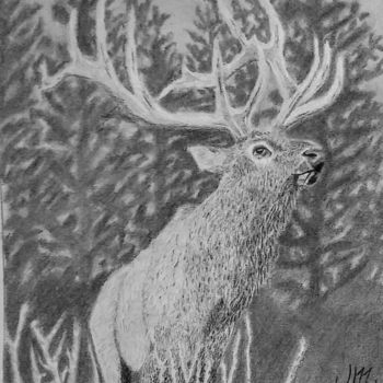 Drawing titled "Rocky Mountain Elk" by Mendoza Fine Arts, Original Artwork, Pencil