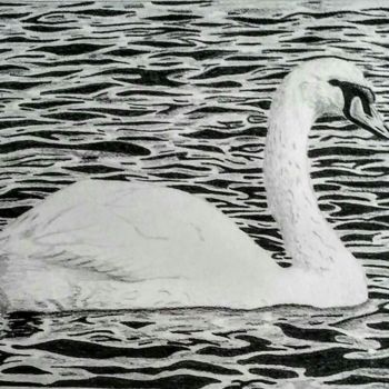 Drawing titled "Swan" by Mendoza Fine Arts, Original Artwork, Graphite