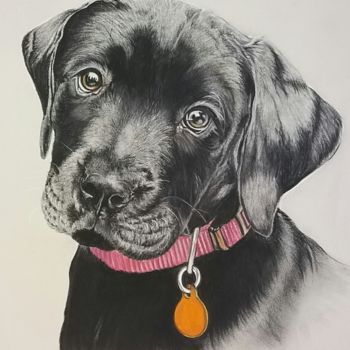 Painting titled "Chiot" by Corinne Mercier, Original Artwork, Pastel