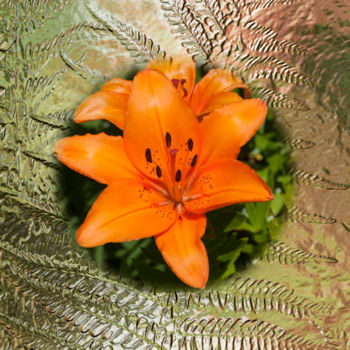 Digital Arts titled "Lily Orange" by Richard Cresswell Thomas, Original Artwork, 2D Digital Work