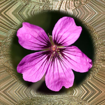 Artes digitais intitulada "Geranium Sanguinium" por Richard Cresswell Thomas, Obras de arte originais, Trabalho Digital 2D