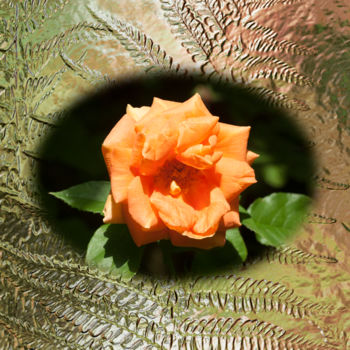 Digitale Kunst mit dem Titel "Rose Orange" von Richard Cresswell Thomas, Original-Kunstwerk, 2D digitale Arbeit
