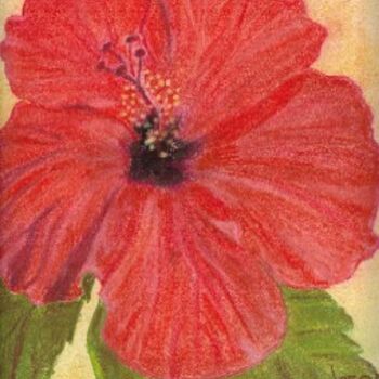 Dessin intitulée "mon hibiscus" par Sylvia Leroy, Œuvre d'art originale, Pastel