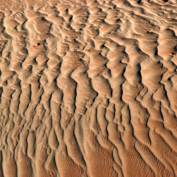 Photography titled "Namib" by Mf Zum, Original Artwork, Analog photography Mounted on Aluminium