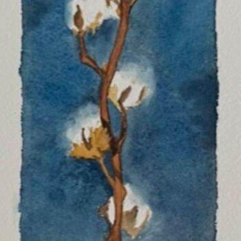 Peinture intitulée "Fleurs de coton sur…" par Michaël D'Auria, Œuvre d'art originale, Aquarelle