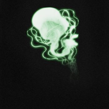 Grafika cyfrowa / sztuka generowana cyfrowo zatytułowany „jellyfish” autorstwa Michael Hambaryan, Oryginalna praca, Malarstw…