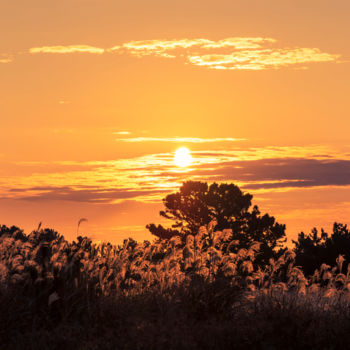 "sunset-9.jpg" başlıklı Fotoğraf Michael Photography tarafından, Orijinal sanat