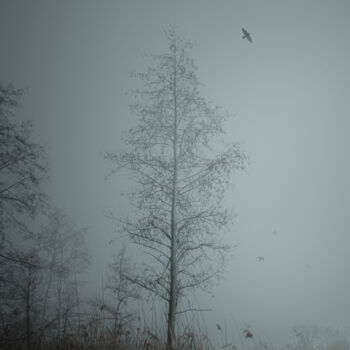 Photography titled "A Tree In A Foggy F…" by Michael Lomiya, Original Artwork, Manipulated Photography