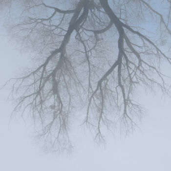 Fotografie getiteld "Winter. A Branching…" door Michael Lomiya, Origineel Kunstwerk, Gemanipuleerde fotografie