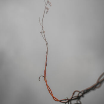 Photography titled "Vine In The Fog Aga…" by Michael Lomiya, Original Artwork, Manipulated Photography