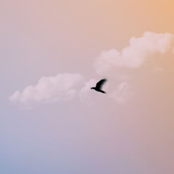 Fotografie getiteld "Blackbird. Sky In O…" door Michael Lomiya, Origineel Kunstwerk, Gemanipuleerde fotografie