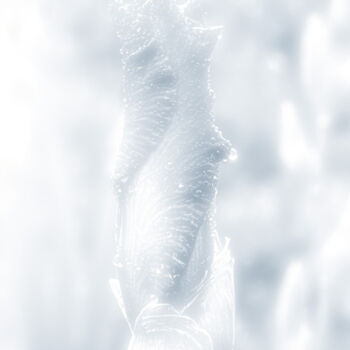 Фотография под названием "A Delicate Flower B…" - Michael Lomiya, Подлинное произведение искусства, Манипулированная фотогра…