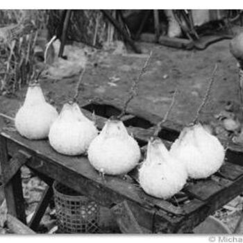 Fotografie getiteld "coconuts in Nha Tra…" door Michael Schultes, Origineel Kunstwerk