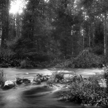 Fotografía titulada "River" por Mikhail Rudnikov, Obra de arte original