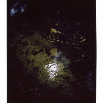 Fotografie mit dem Titel "Polaroid10" von Michal Vojkuvka, Original-Kunstwerk, Analog Fotografie