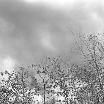 Fotografia intitulada "Trees and sky" por Michal Vojkuvka, Obras de arte originais, Fotografia de filme