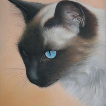 Peinture intitulée "Le Chat Siamois" par Christian Michaut, Œuvre d'art originale, Huile