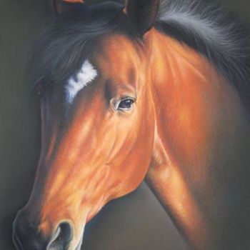 Painting titled "Moka, Le Cheval" by Christian Michaut, Original Artwork, Oil