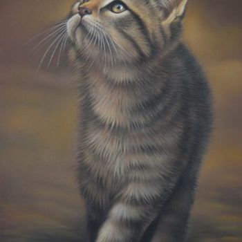 Pintura intitulada "maxim, le Chaton Ti…" por Christian Michaut, Obras de arte originais, Óleo