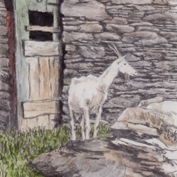 Drawing titled "Goat at Carraig Far…" by Micheal O Muirthile, Original Artwork, Pencil
