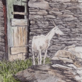 Zeichnungen mit dem Titel "Goat at Carraig Far…" von Micheal O Muirthile, Original-Kunstwerk, Bleistift