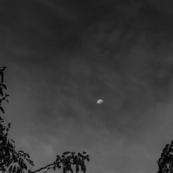 Photographie intitulée "lune campagnarde" par Michel Babkine, Œuvre d'art originale, Photographie numérique
