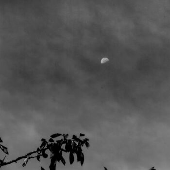 Photography titled "lune d'un matin bru…" by Michel Babkine, Original Artwork, Digital Photography