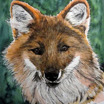 Painting titled "DHOLE 2" by Michel Cendra-Terrassa, Original Artwork, Watercolor