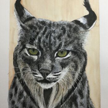 Painting titled "OEIL DE LYNX" by Michel Cendra-Terrassa, Original Artwork, Watercolor