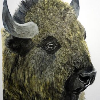 Painting titled "BISON" by Michel Cendra-Terrassa, Original Artwork, Watercolor