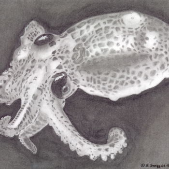 Dessin intitulée "195 - Octopus" par Le Dessineux, Œuvre d'art originale