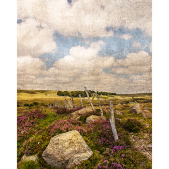 "Aubrac 2" başlıklı Fotoğraf Michel Daumergue tarafından, Orijinal sanat, Dijital Fotoğrafçılık