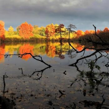 Photography titled "Plein feux sur Boul…" by Michel Guillet, Original Artwork