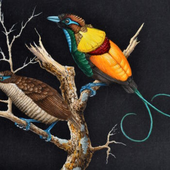 Картина под названием "oiseaux-de-paradis.…" - Michel Michaux, Подлинное произведение искусства