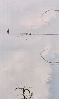 Photographie intitulée "Cœur d’eau" par Michel Paulin, Œuvre d'art originale, Photographie numérique