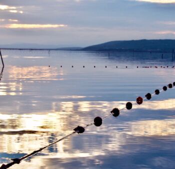 Fotografia zatytułowany „Barcares à point !” autorstwa Michel Paulin, Oryginalna praca, Fotografia cyfrowa