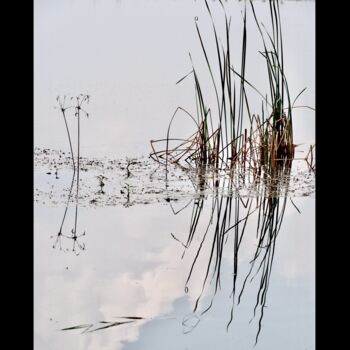 Photographie intitulée "Écriture végétale 7" par Michel Paulin, Œuvre d'art originale, Photographie numérique