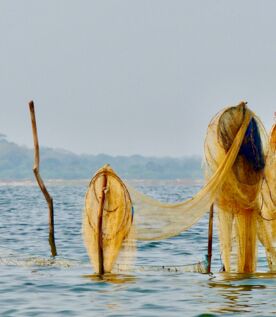 Fotografia intitulada "La famille" por Michel Paulin, Obras de arte originais, Fotografia digital