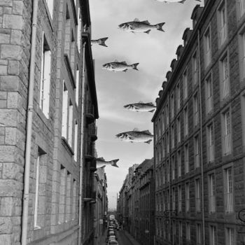 Photographie intitulée "Invasion fishes" par Michel Poirier, Œuvre d'art originale, Photographie numérique