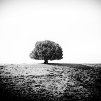 Fotografie mit dem Titel "Alone" von Michel Spingler, Original-Kunstwerk, Digitale Fotografie