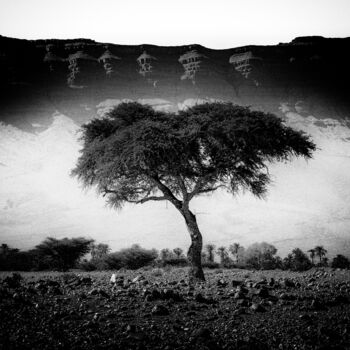 Fotografie getiteld "Alone in the desert" door Michel Spingler, Origineel Kunstwerk, Digitale fotografie