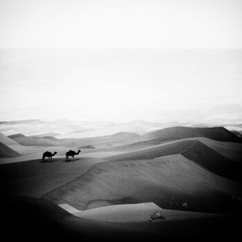 Fotografia zatytułowany „A couple of camel” autorstwa Michel Spingler, Oryginalna praca, Fotografia cyfrowa