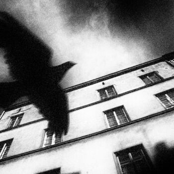 Фотография под названием "Pigeon vole" - Michel Spingler, Подлинное произведение искусства, Цифровая фотография