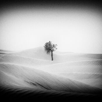 Фотография под названием "Tunisia tree" - Michel Spingler, Подлинное произведение искусства, Цифровая фотография