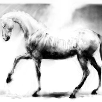 "Horse 17 Pegasus" başlıklı Dijital Sanat Michel Thiery (By Daesyl arts) tarafından, Orijinal sanat, Dijital Resim