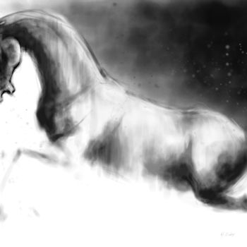 Digitale Kunst getiteld "Horse 22 Pegasus" door Michel Thiery (By Daesyl arts), Origineel Kunstwerk, Digitaal Schilderwerk