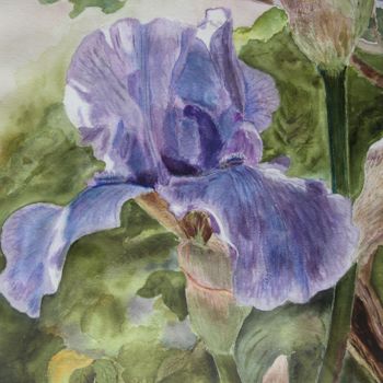 Pintura titulada "iris.jpg" por Michel Vandoorn, Obra de arte original, Acuarela